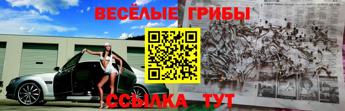 Галлюциногенные грибы Magic Shrooms Лесной